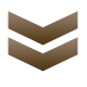 vertical vertical